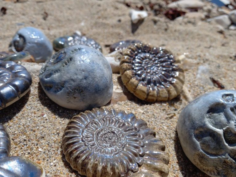 Unfired clay shaped in to ammonites