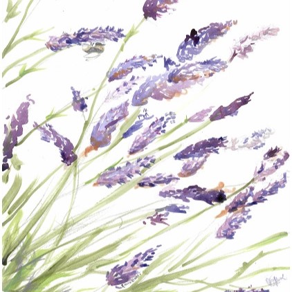 Catkin Tree Studio | Lavender Fields